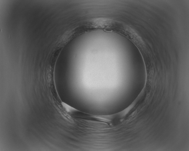 X0000083990413200702232116