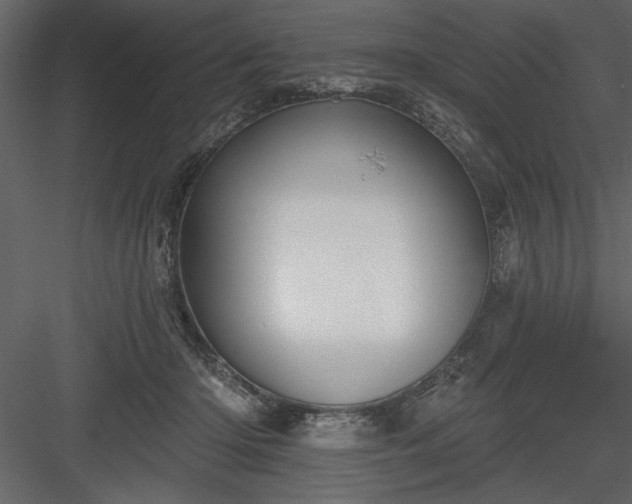 X0000083990414200702232116