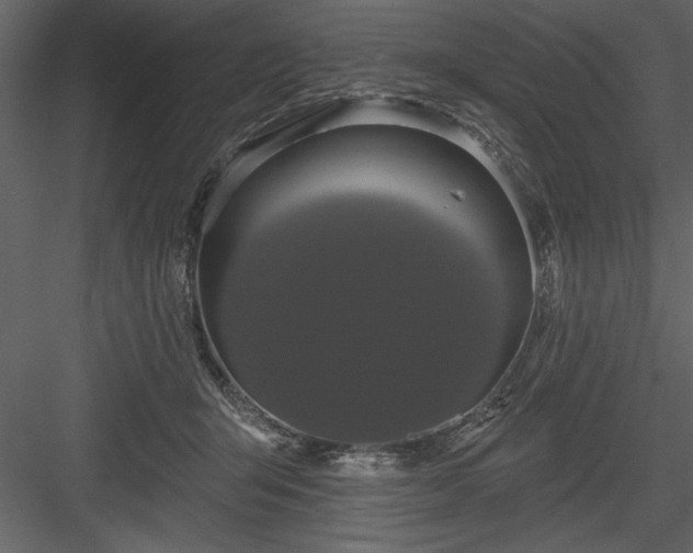 X0000083990415200702232116