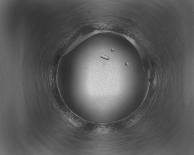 X0000083990416200702232116