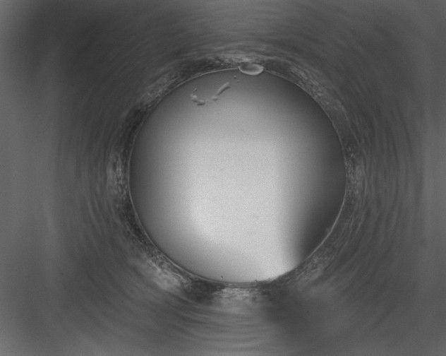 X0000083990418200702232116