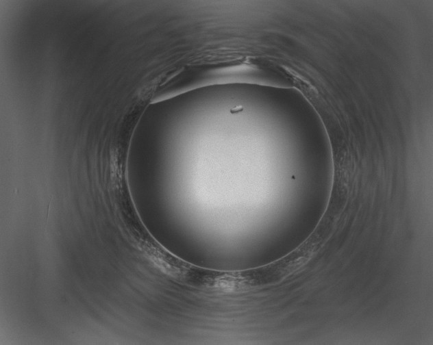 X0000083990420200702232116