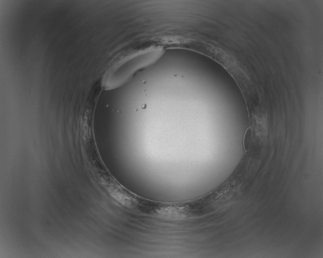 X0000083990422200702232116