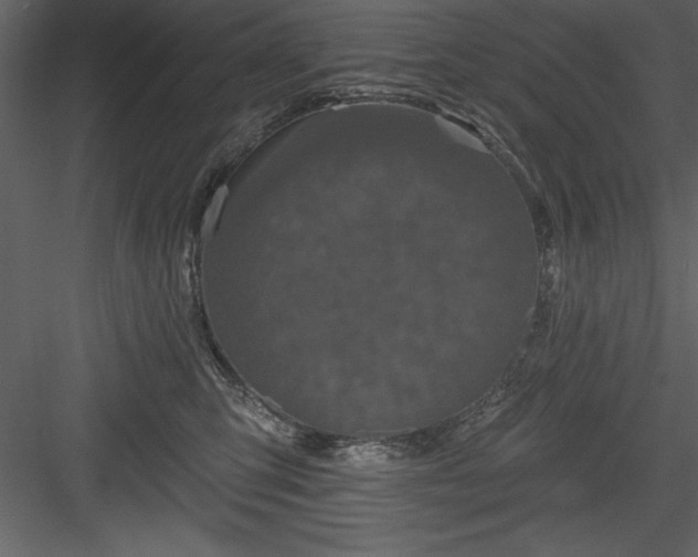 X0000083990423200702232116