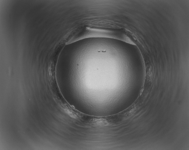 X0000083990424200702232116