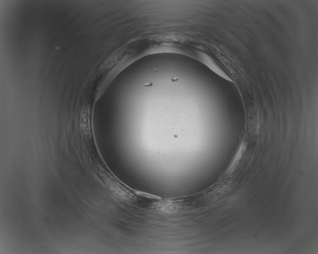 X0000083990425200702232116