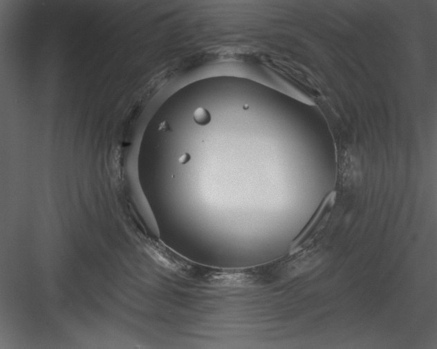 X0000083990428200702232116