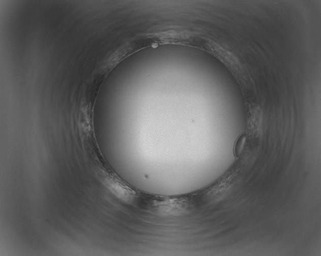 X0000083990430200702232116