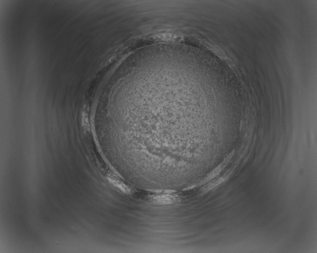 X0000083990432200702232116