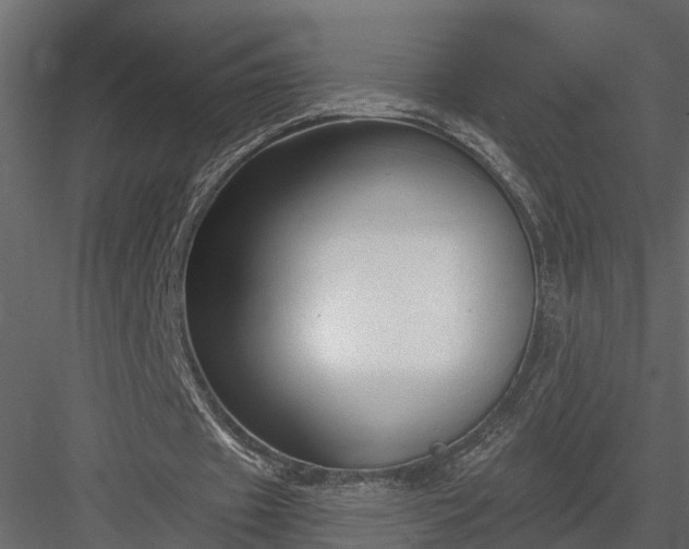 X0000083990433200702232115