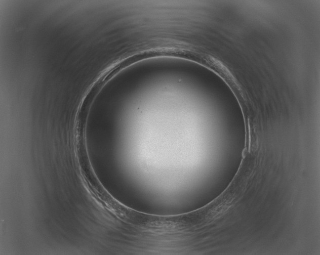 X0000083990435200702232115