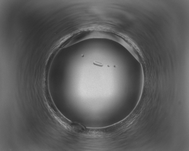 X0000083990437200702232115