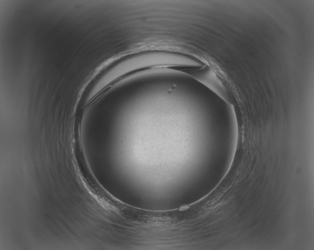 X0000083990438200702232115