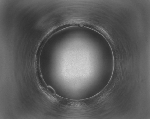 X0000083990439200702232115