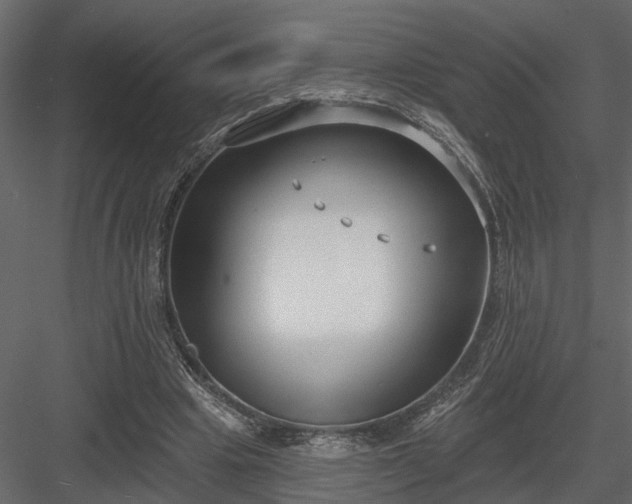 X0000083990441200702232115