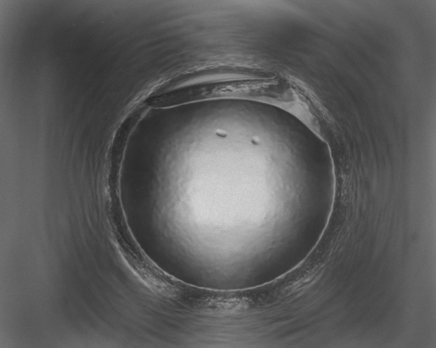 X0000083990443200702232115