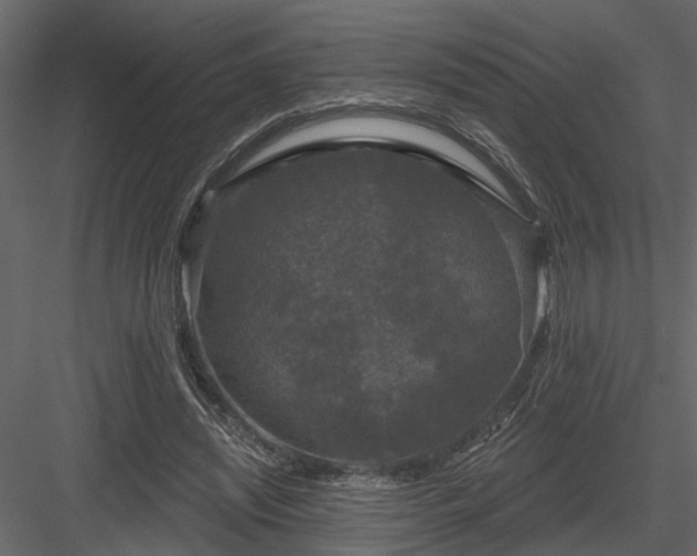 X0000083990444200702232115