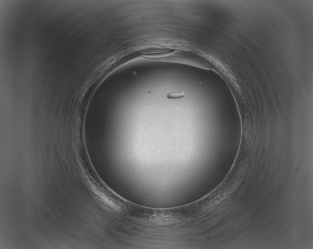 X0000083990445200702232115