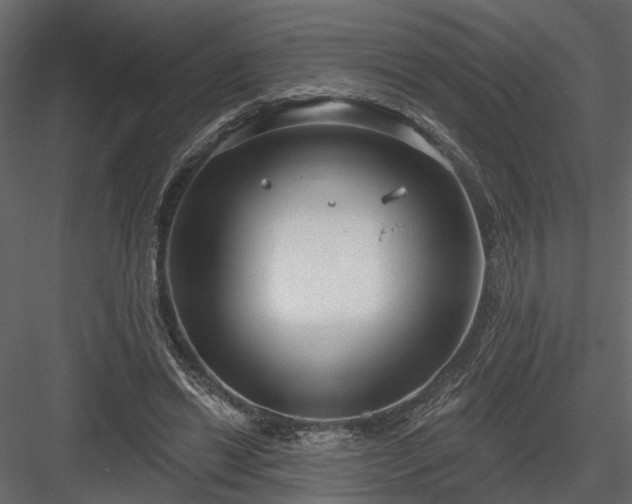 X0000083990446200702232115