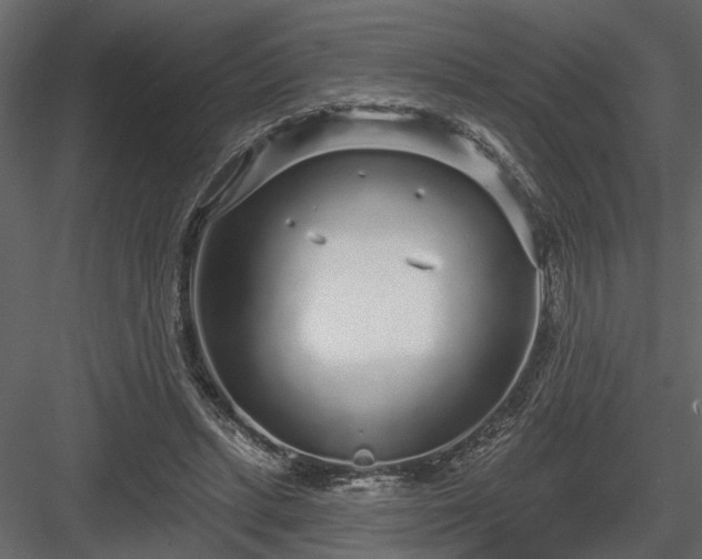 X0000083990447200702232115