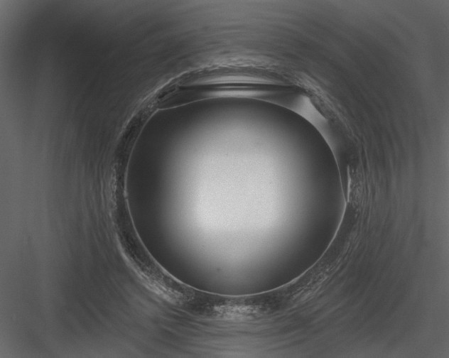 X0000083990448200702232115