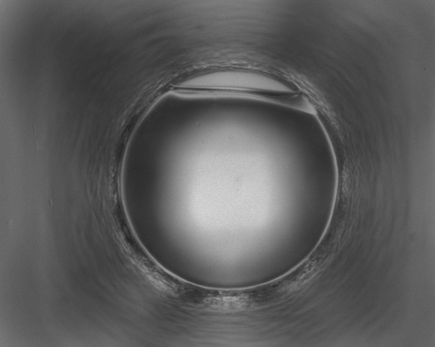 X0000083990449200702232115