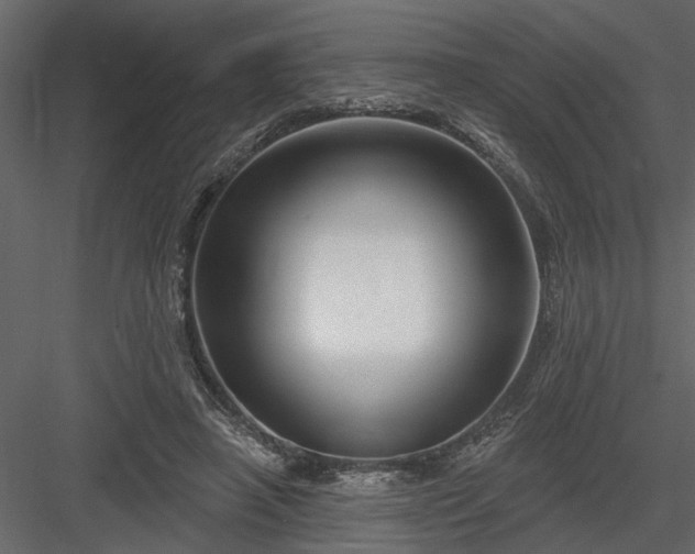 X0000083990450200702232115