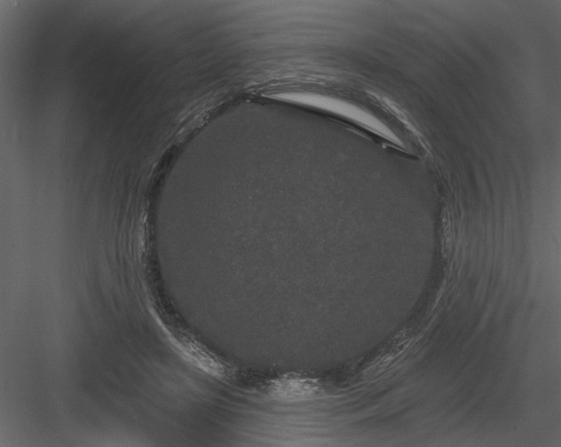 X0000083990451200702232115