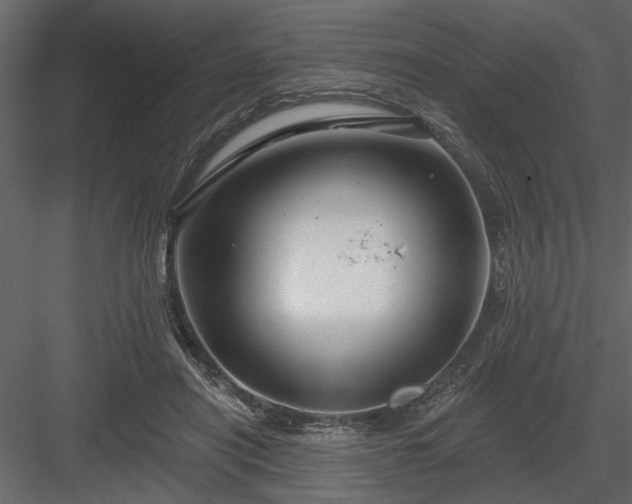 X0000083990454200702232115