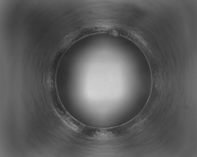 X0000083990455200702232115