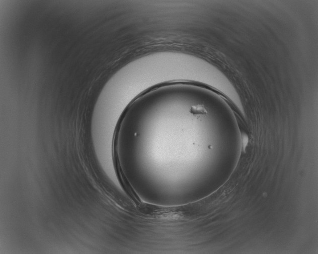 X0000083990456200702232115