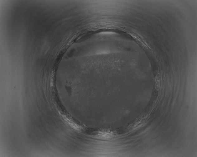 X0000083990458200702232115