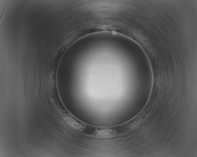 X0000083990461200702232116