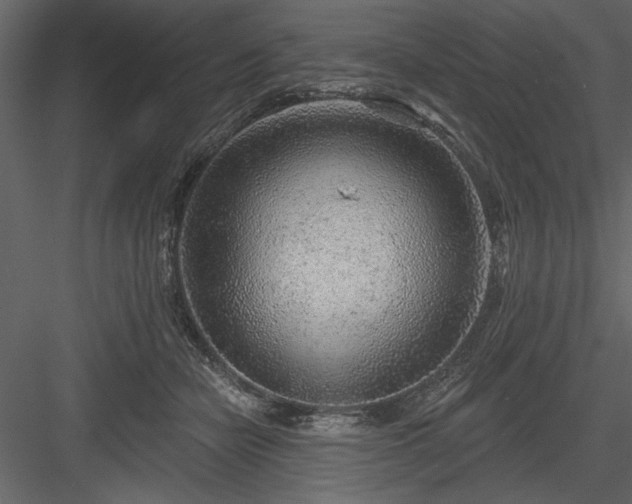 X0000083990462200702232116