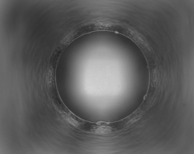 X0000083990463200702232116