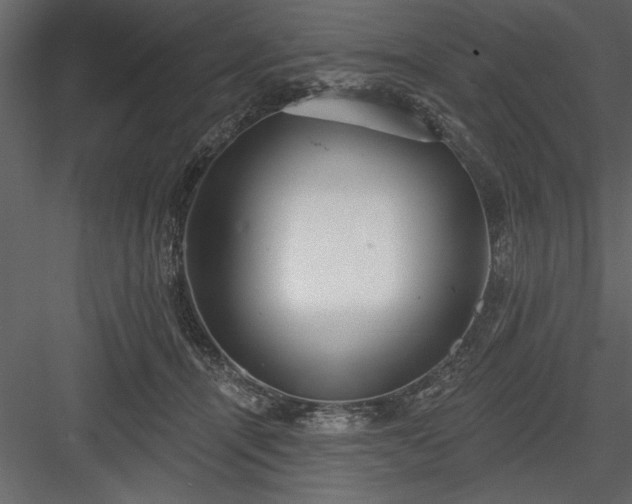 X0000083990464200702232116