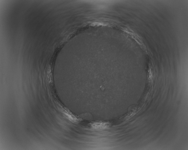 X0000083990465200702232116