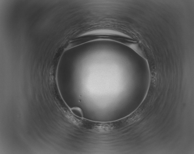 X0000083990466200702232116