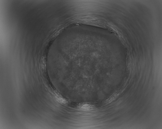 X0000083990467200702232116