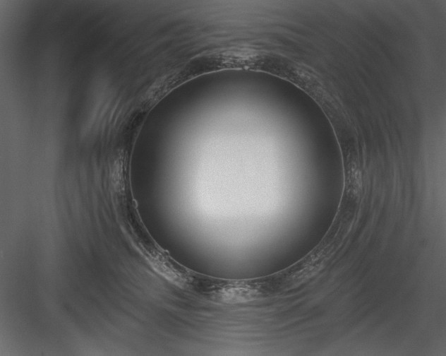 X0000083990468200702232116