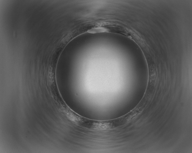 X0000083990469200702232116