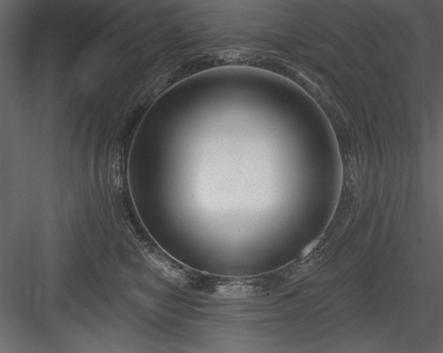 X0000083990470200702232116