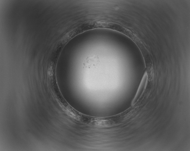 X0000083990472200702232116