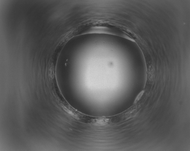 X0000083990474200702232116