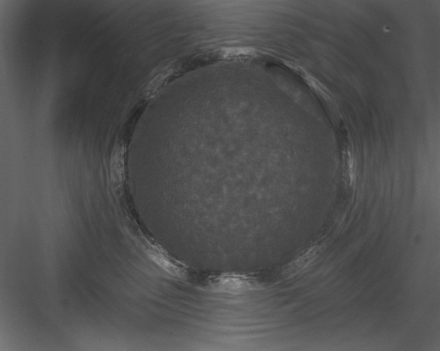 X0000083990475200702232116