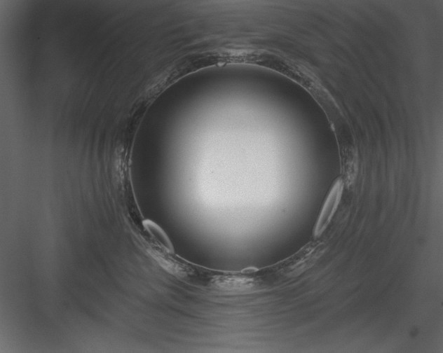 X0000083990476200702232116