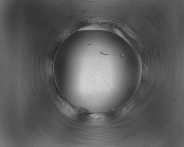 X0000083990477200702232116