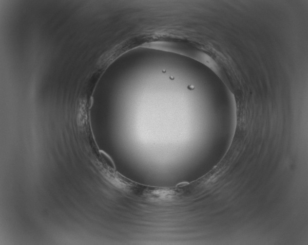 X0000083990478200702232116