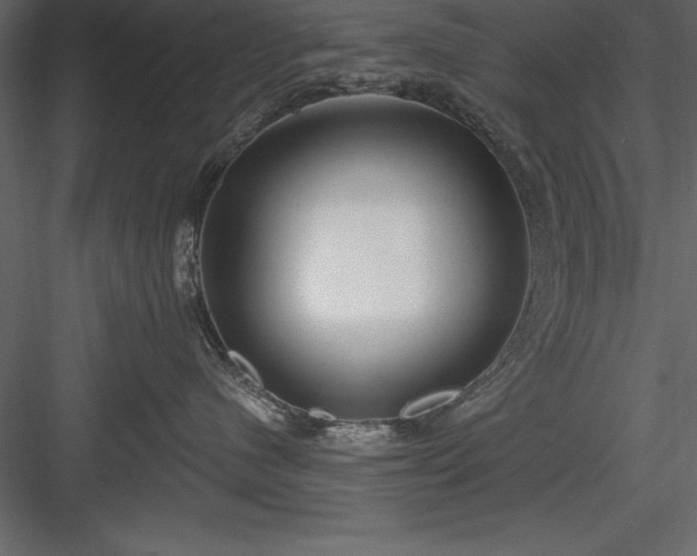 X0000083990480200702232116