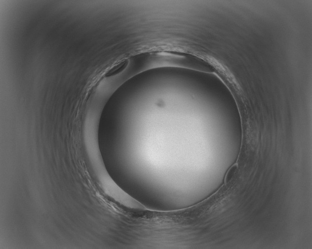 X0000083990481200702232115